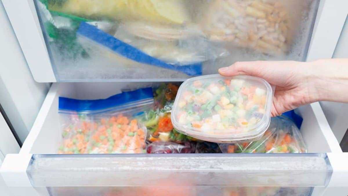 Découvrez les meilleurs conseils pour bien congeler les aliments
