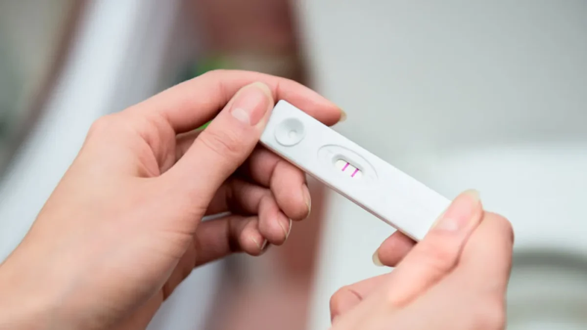 Quand une femme peut-elle tomber enceinte ?