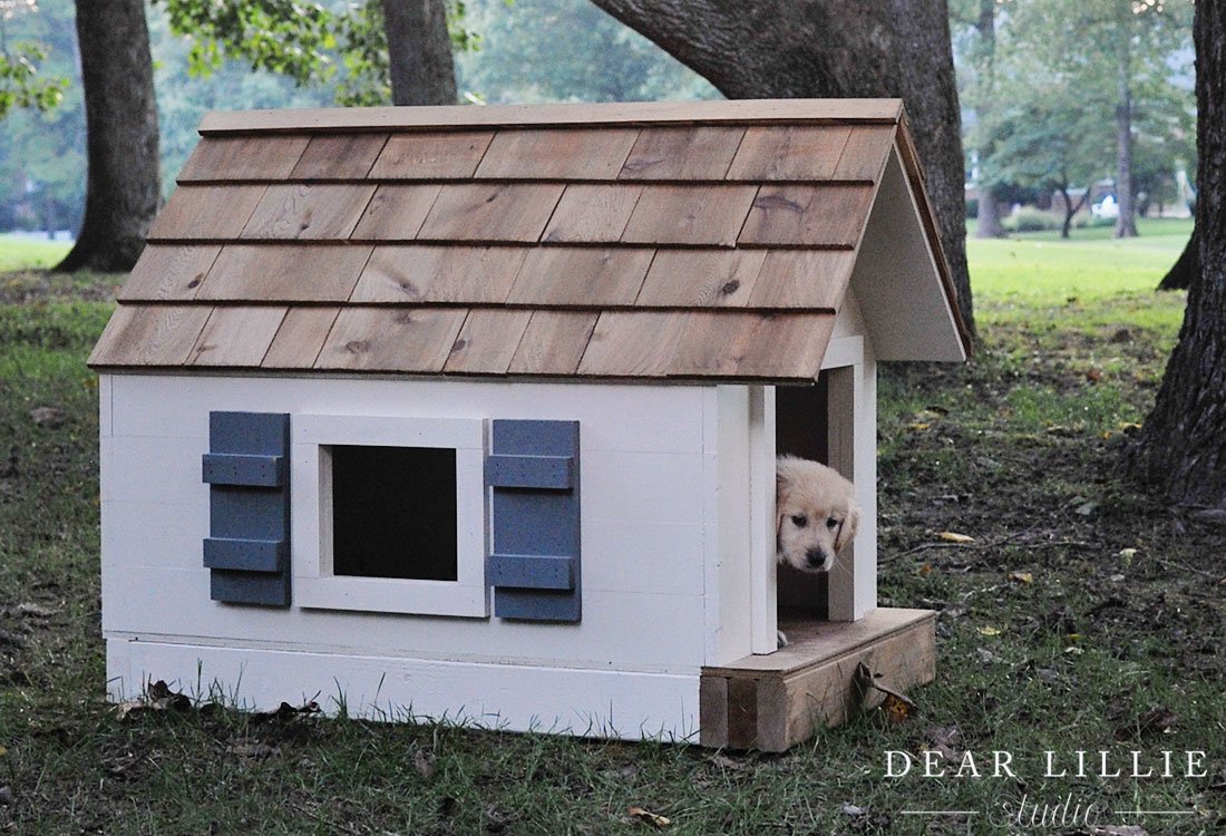 Conceptions de maison de chien de bricolage pour le meilleur ami de l’homme