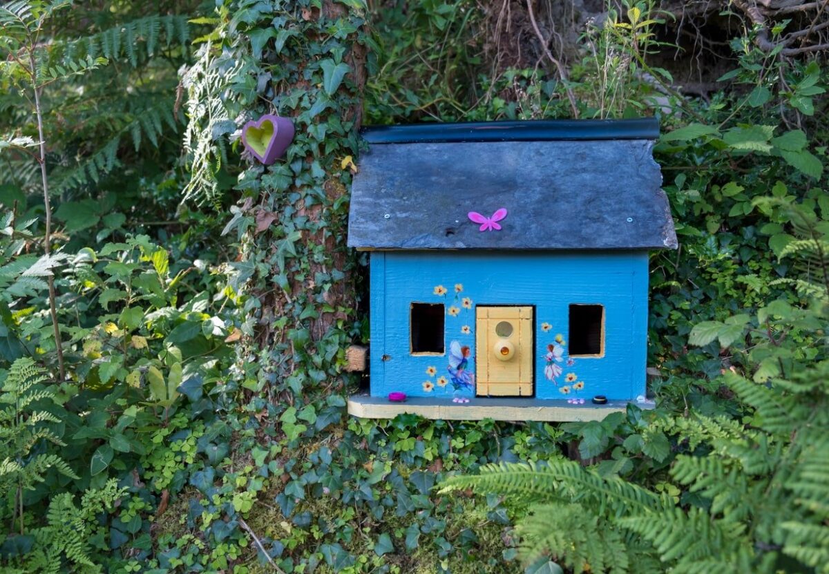 Kit de jardin féerique : des familles vertes qui grandissent ensemble