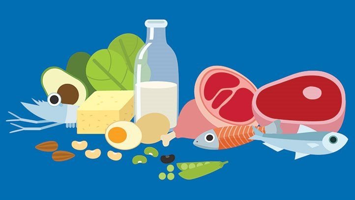 Tout sur les protéines : nutrition, sources de nourriture et plus encore