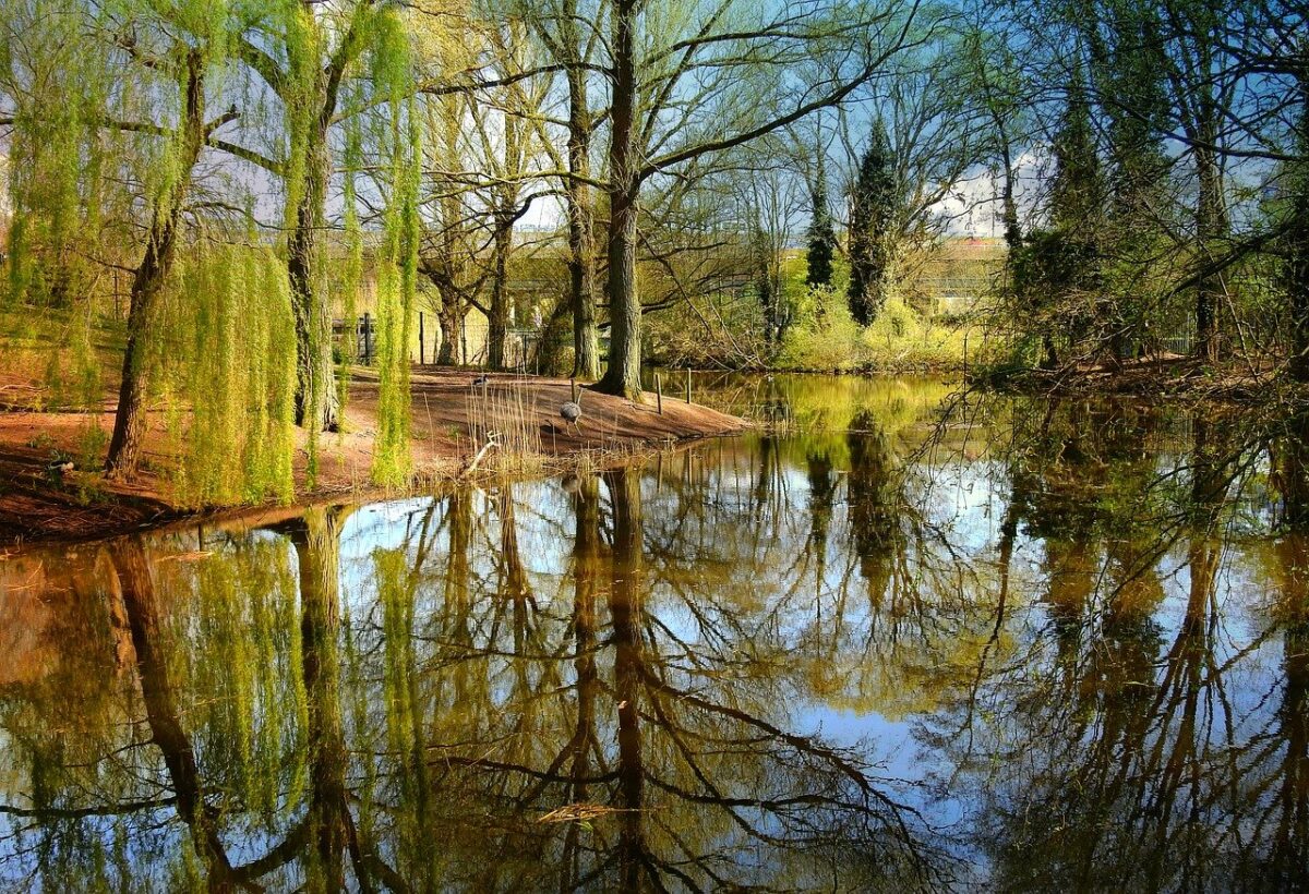 Comment faire un etang