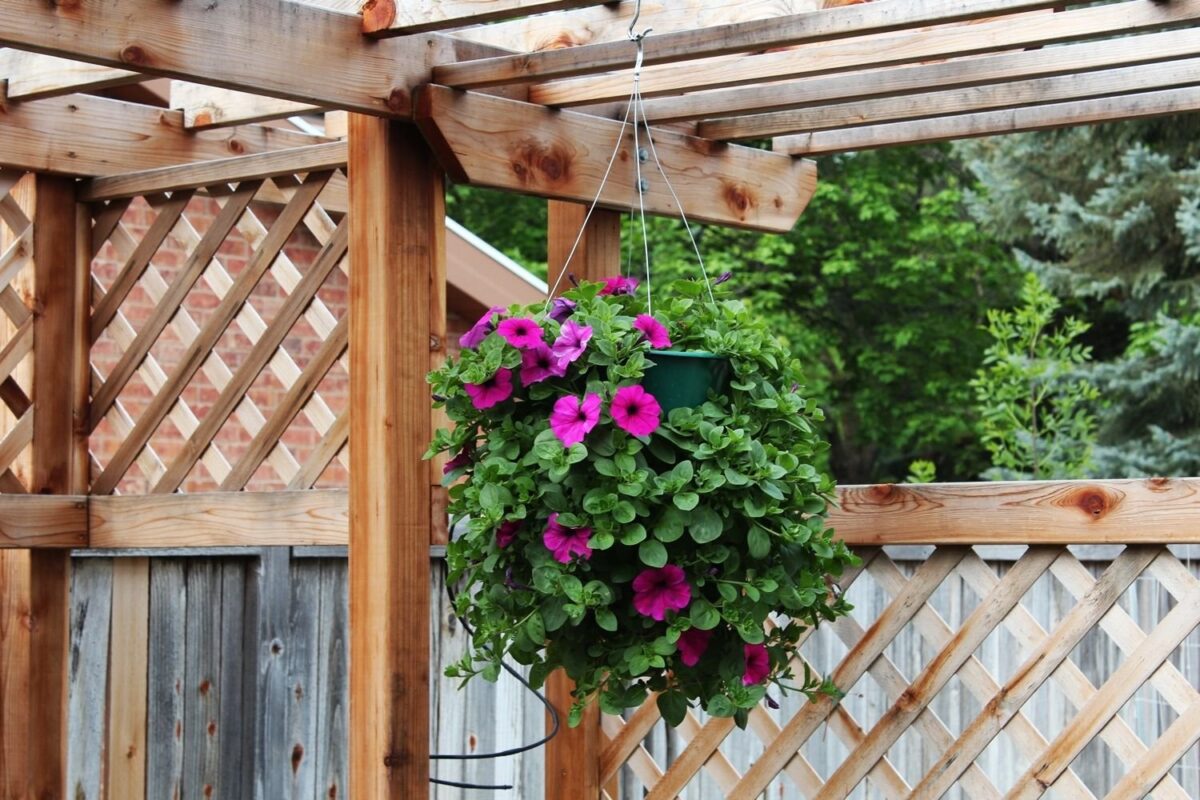 Comment créer un magnifique panier de fleurs suspendu