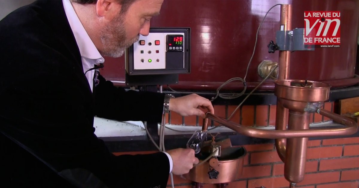 Comment faire du cognac
