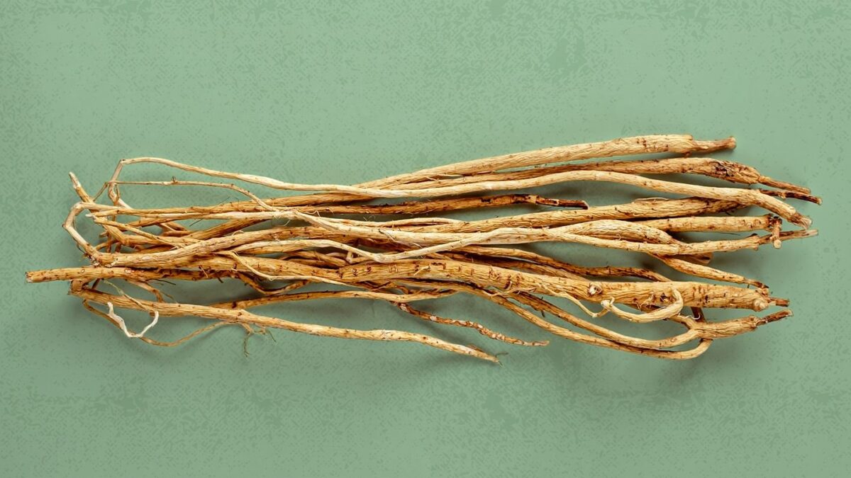 Tout ce que vous devez savoir sur l’astragale