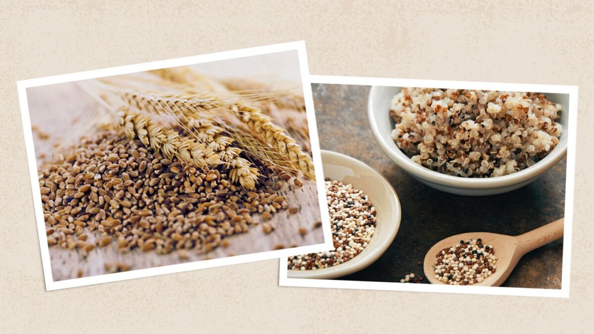 Grains entiers 101 : Bienfaits pour la santé, valeurs nutritionnelles, recettes et plus encore