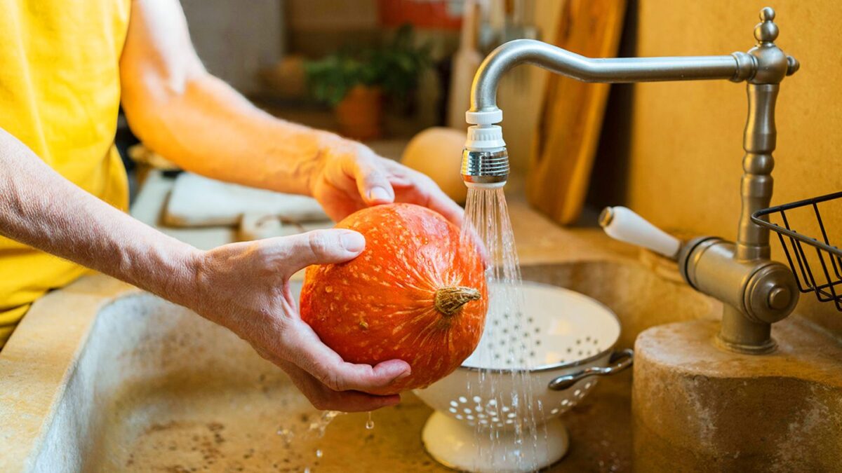 Tout sur les citrouilles : nutrition, avantages, recettes, effets secondaires, etc.