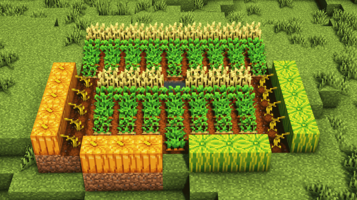 Guide ultime de l’agriculture des cultures Minecraft (1.19)