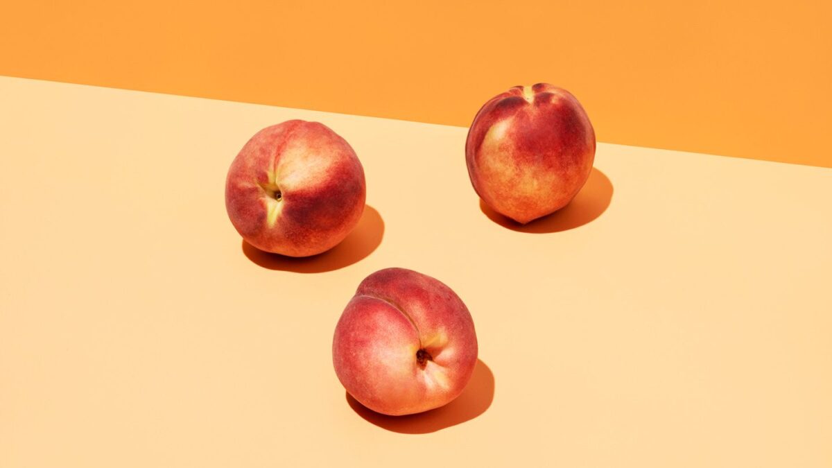 Pêches 101 : Un guide complet