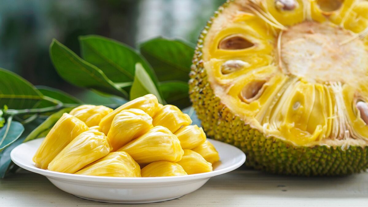 Tout sur le jacquier : nutrition, avantages, effet de perte de poids, recettes, etc.