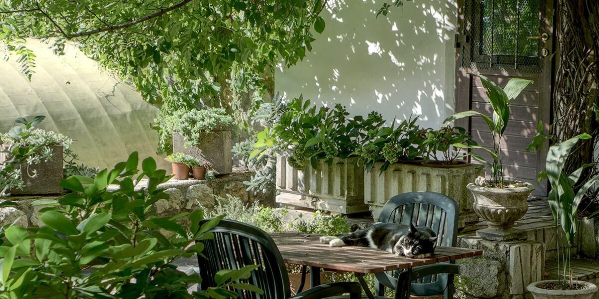 Comment transformer son jardin en espace zen sans se ruiner ?