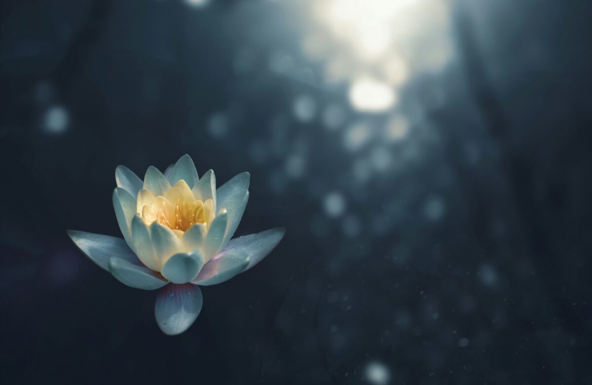 Le yoga : la clé pour apaiser l’esprit et renforcer le mental ?