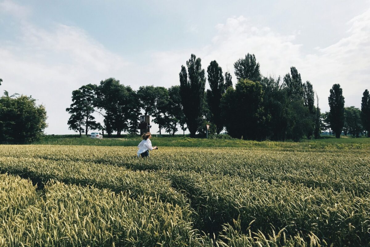 découvrez h08, un titre captivant et intrigant qui vous emmènera dans un univers unique et fascinant.