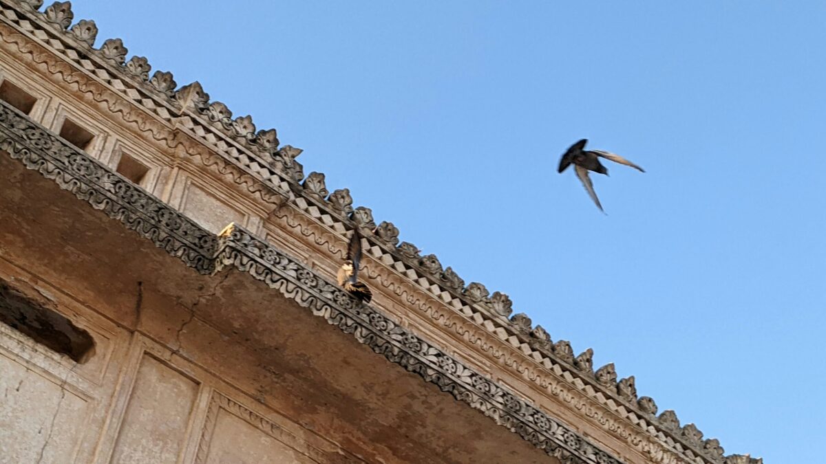 découvrez tout sur moula, le mot mystérieux qui intrigue et fascine. trouvez des informations intéressantes sur moula et son origine.