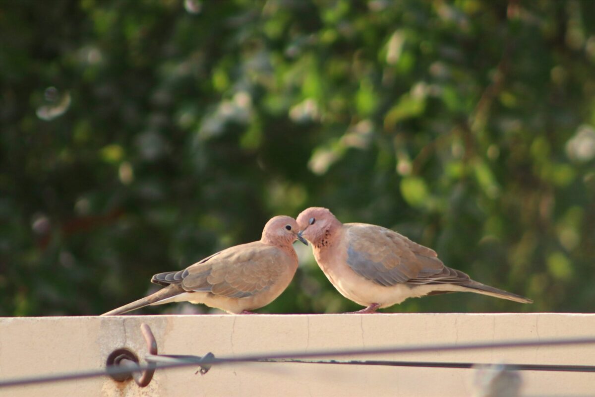 découvrez les tendances astrologiques influençant votre avenir avec nos prévisions exclusives sur les tendances astrologiques.