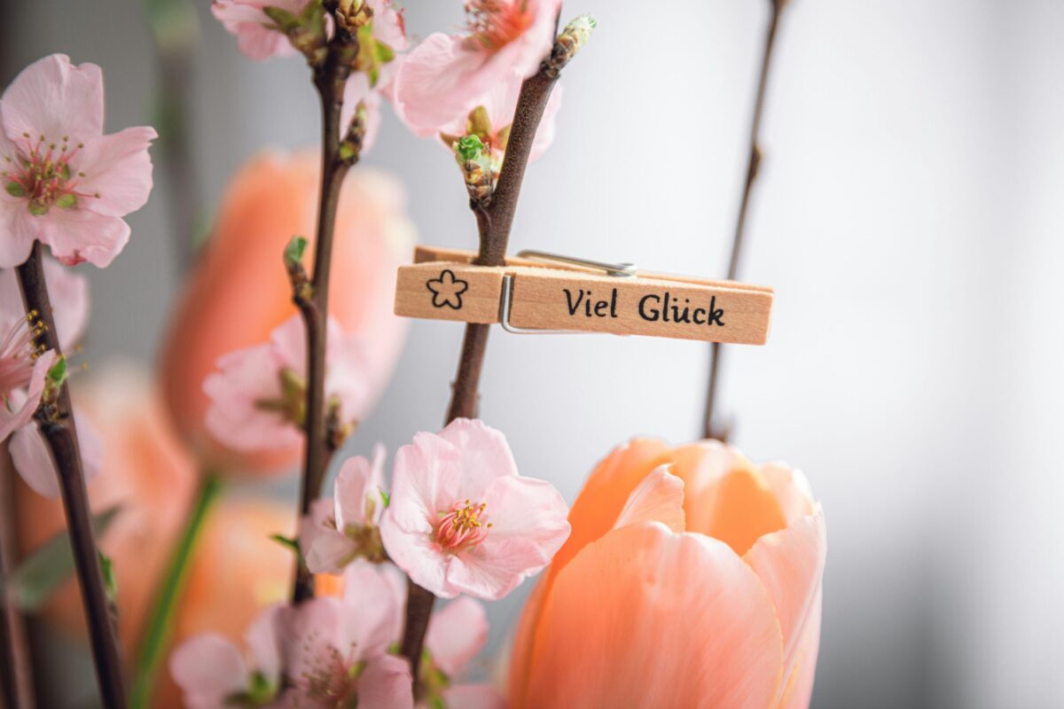 découvrez la chance et les opportunités avec luck, la source de bonne fortune et de succès dans votre vie. découvrez comment la chance peut vous sourire avec luck.