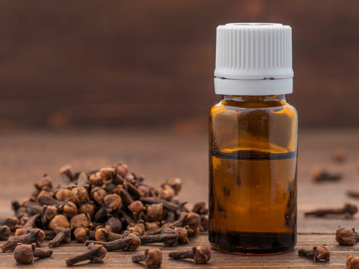 Apaisement Naturel : Les Remèdes de Grand-Mère Contre les Démangeaisons Intimes