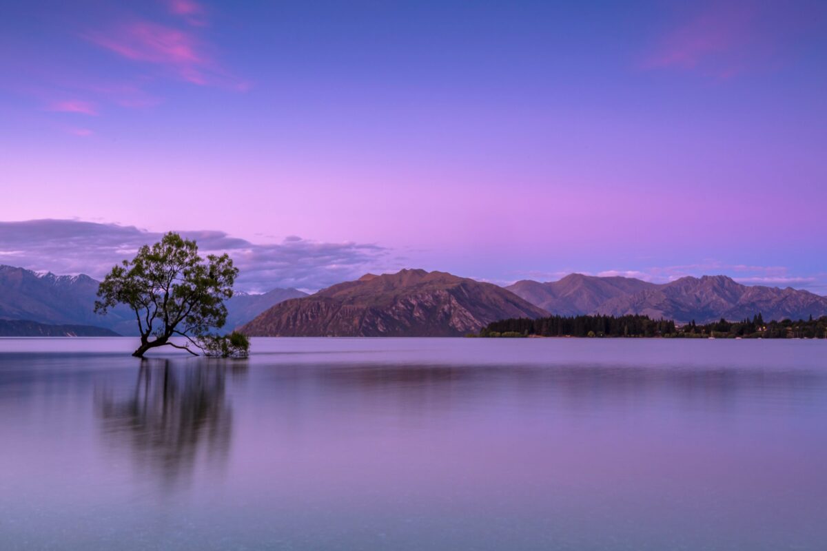 découvrez la tranquillité et le bien-être avec serenity, une expérience apaisante pour l'esprit et le corps.