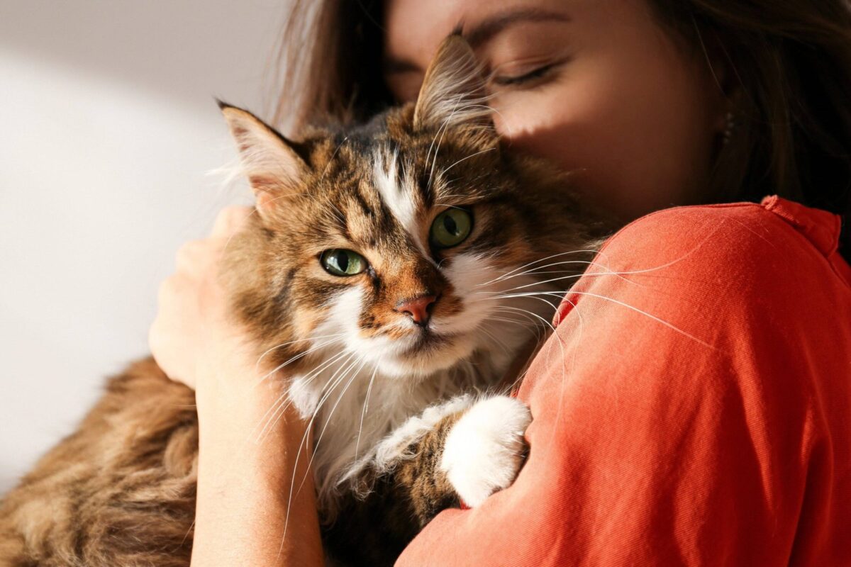 Souscrire à une assurance animaux, c’est protéger son animal en cas de maladie ou d’accident.