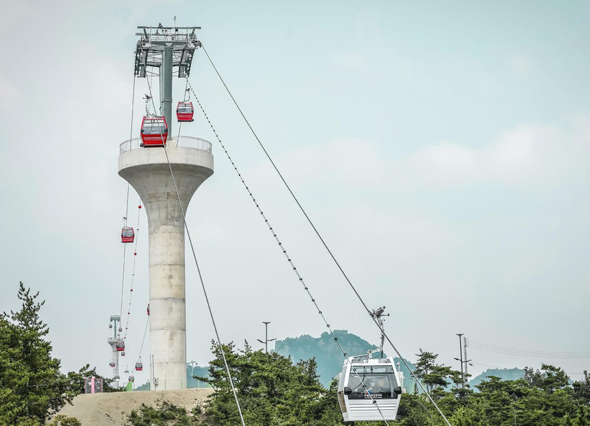 Arbre-Nuage : Découvrez l’Interconnexion Mystique entre la Terre et le Ciel